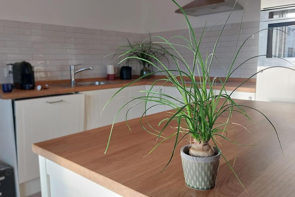 Ferienwohnung Stern Unterthingau Экстерьер фото